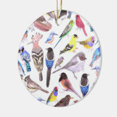 Vögel in Amerika - Heimtiere und wild lebende Vöge Keramik Ornament (Links)