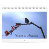 Vögel in Arizona Kalender (Titelbild)