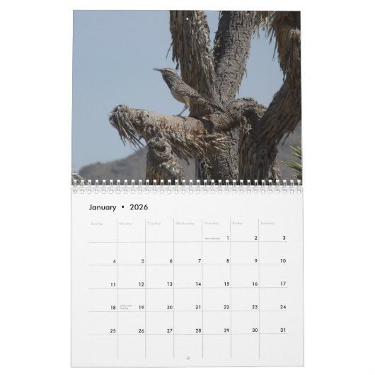 Vögel in Arizona Kalender (Jan 2026)