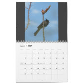 Vögel in Arizona Kalender (Mär 2027)