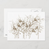 Vögel in Baumsepen und Tintenfisch Postkarte (Vorne/Hinten)