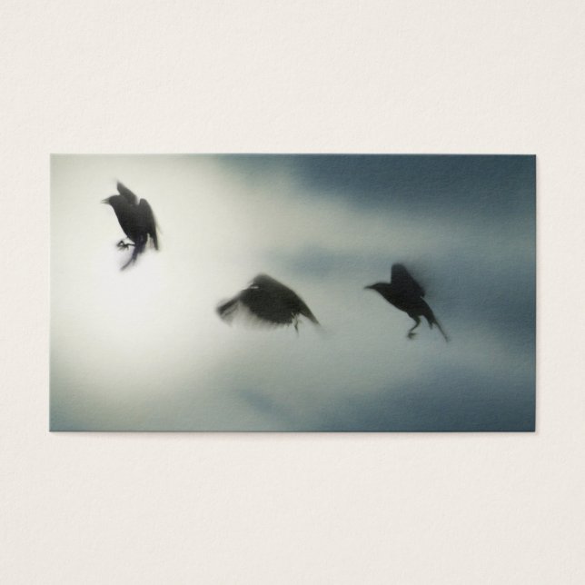 Vögel in Bewegung (Vorderseite)