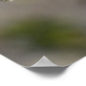 Vogel in Blossom Poster (Ecke)