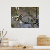 Vogel in Blossom Poster (Küche)
