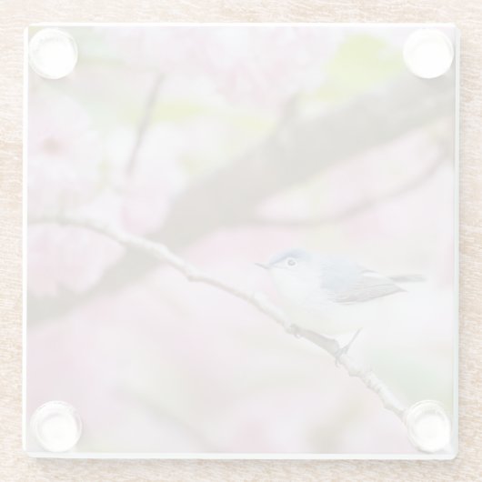 Vogel in Blossom Tree Glasuntersetzer (Rückseite)