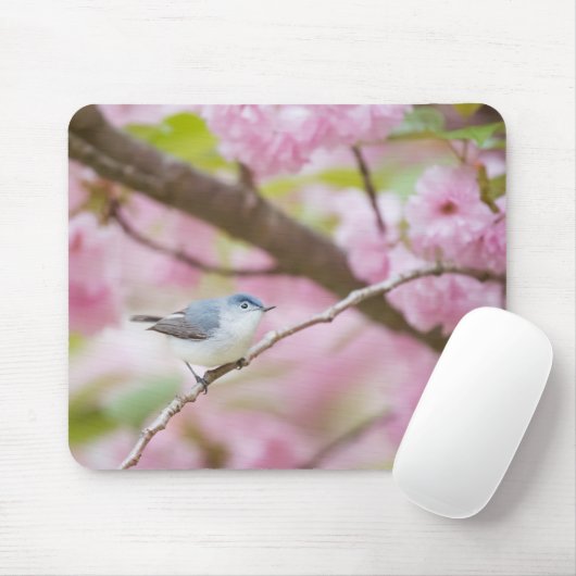 Vogel in Blossom Tree Mousepad (Mit Mouse)