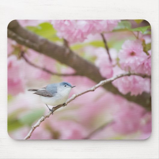 Vogel in Blossom Tree Mousepad (Vorne)