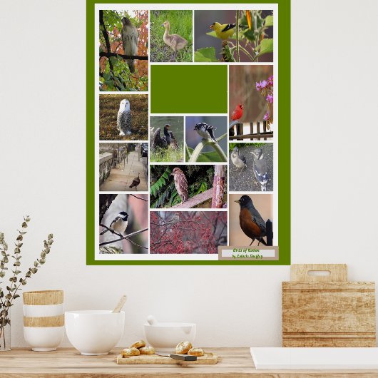 Vögel in Boston Poster (Küche)