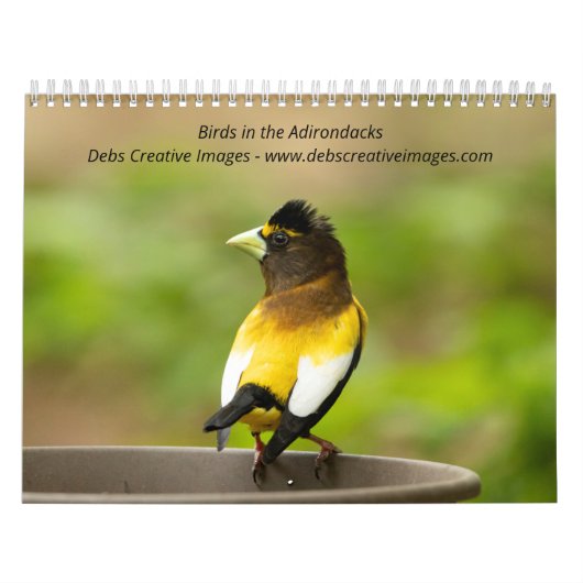 Vögel in den Adirondacks 2026 Kalender (Titelbild)