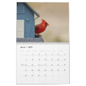 Vögel in den Adirondacks 2026 Kalender (Mär 2027)