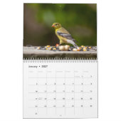 Vögel in den Adirondacks 2026 Kalender (Jan 2027)
