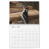 Vögel in den Adirondacks 2026 Kalender (Feb 2027)
