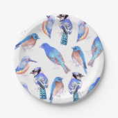 Vögel in den Tönungen und in den Schatten der Pappteller (Vorderseite)