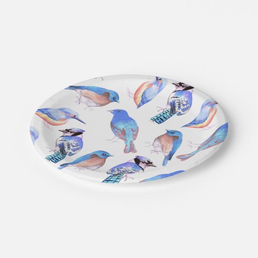 Vögel in den Tönungen und in den Schatten der Pappteller (Schrägansicht)