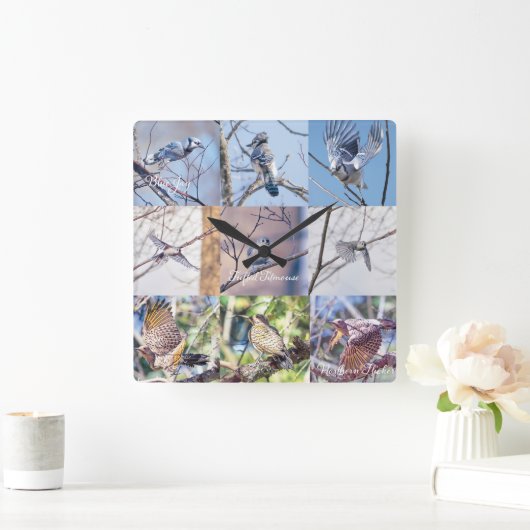 Vögel in der Bewegungsuhr Quadratische Wanduhr (Zuhause)