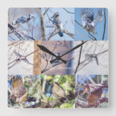 Vögel in der Bewegungsuhr Quadratische Wanduhr (Vorderseite)