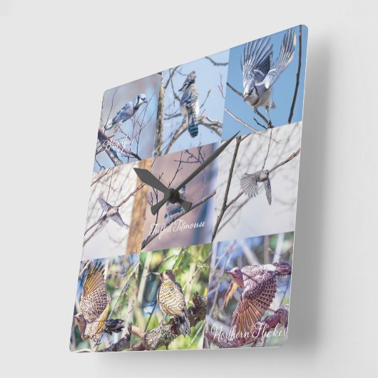 Vögel in der Bewegungsuhr Quadratische Wanduhr (Winkel)