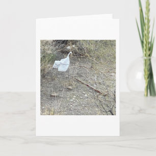 Vogel in der Brush Karte