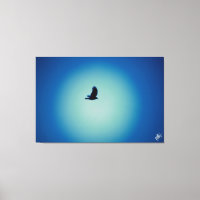 Vogel in der Postreihe #8