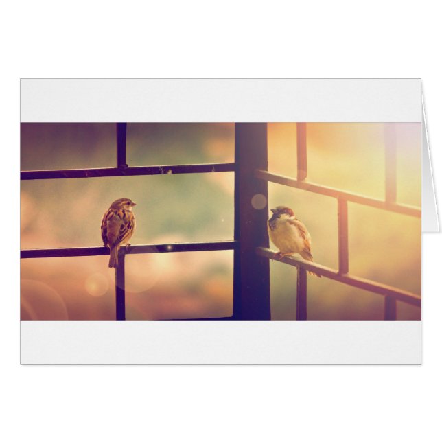 Vögel in der Sonne des Abends (Vorderseite (Horizontal))