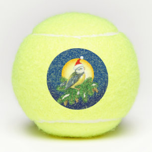 Vögel in der Weihnachtsmannmütze Tennisbälle