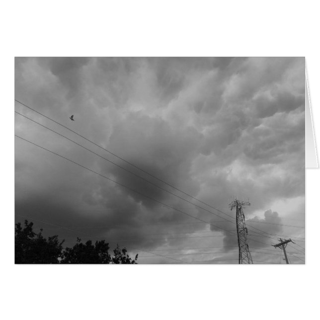 Vögel in der Wolkenkratzer / Noir (Vorderseite (Horizontal))
