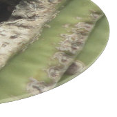 Vogel in einem Saguaro-Nest Schneidebrett (Ecke)