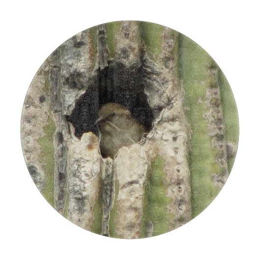 Vogel in einem Saguaro-Nest Schneidebrett (Vorderseite)