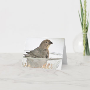Vogel in einer Schüssel - Leere Grußkarte Karte