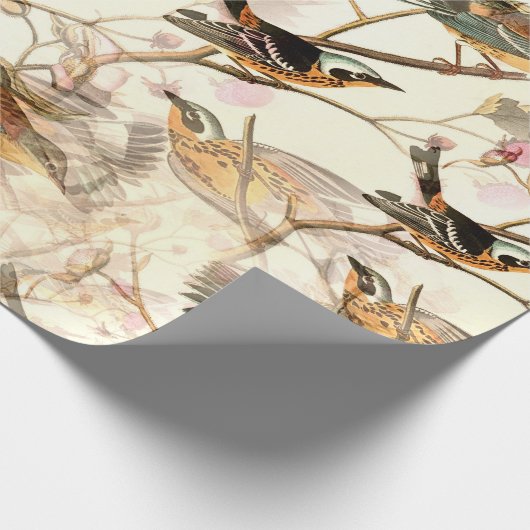 Vögel in einer Zweigstelle Geschenkpapier (Ecke)