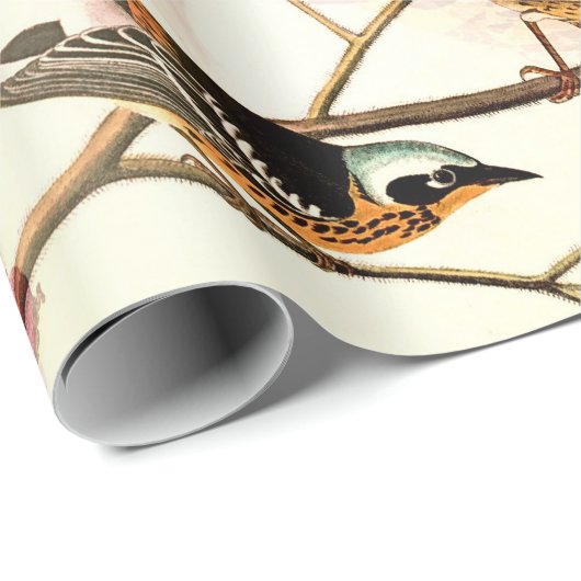 Vögel in einer Zweigstelle Geschenkpapier (Rolleneckpunkt)