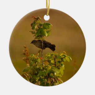Vogel in einer Zweigstelle Keramik Ornament