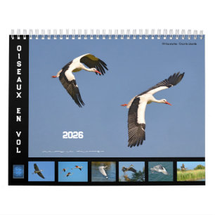Vögel in Flug 12 Monate Kalender