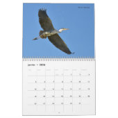 Vögel in Flug 12 Monate Kalender (Jan 2026)