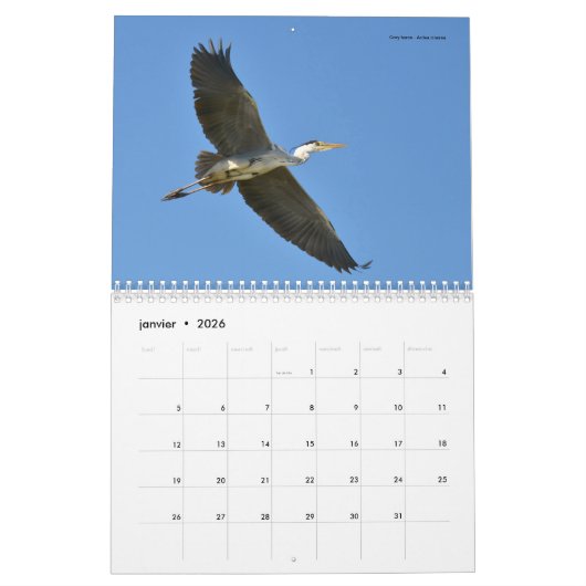 Vögel in Flug 12 Monate Kalender (Jan 2026)