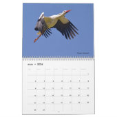 Vögel in Flug 12 Monate Kalender (Mär 2026)