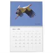 Vögel in Flug 12 Monate Kalender (Mär 2026)