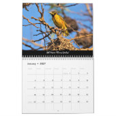 Vögel in Gambia - Kalender 2024 (Jan 2027)