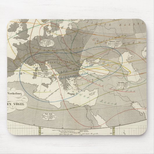 Vögel in ganz Europa Mousepad (Vorne)