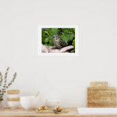 Vögel in Handdruck Poster (Küche)