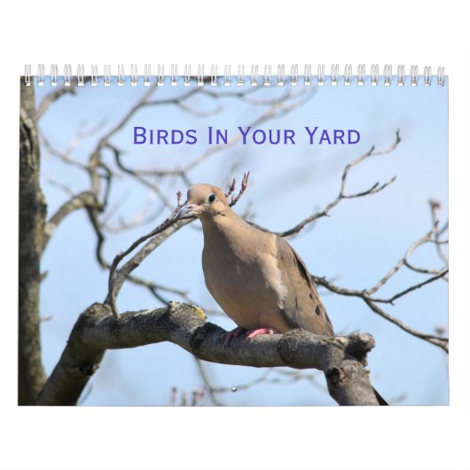 Vögel in Ihrem Gartenkalender Kalender (Titelbild)