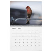 Vögel in Ihrem Gartenkalender Kalender (Jan 2026)