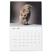 Vögel in Ihrem Gartenkalender Kalender (Mär 2027)