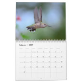 Vögel in Ihrem Gartenkalender Kalender (Feb 2027)