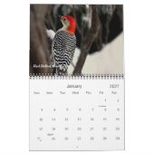 Vögel in Ihrer Hinterhoffotografie Kalender (Jan 2027)