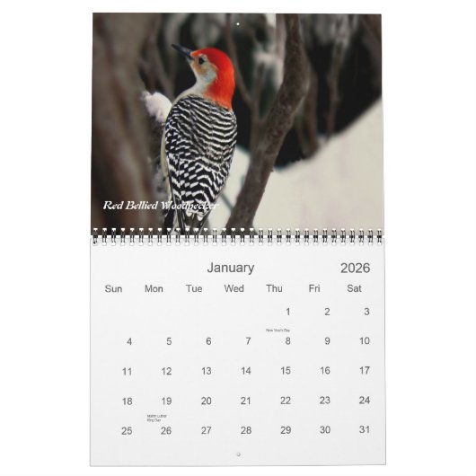 Vögel in Ihrer Hinterhoffotografie Kalender (Jan 2026)