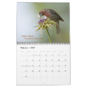 Vögel in Kalifornien - Kalender 2010 (Feb 2027)