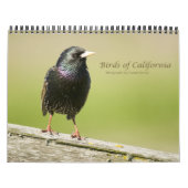 Vögel in Kalifornien - Kalender 2010 (Titelbild)