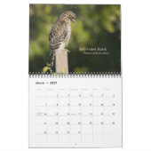 Vögel in Kalifornien - Kalender 2010 (Mär 2027)