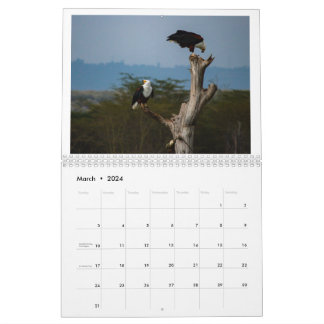 Vögel in Kenia - See Naivasha Kalender
